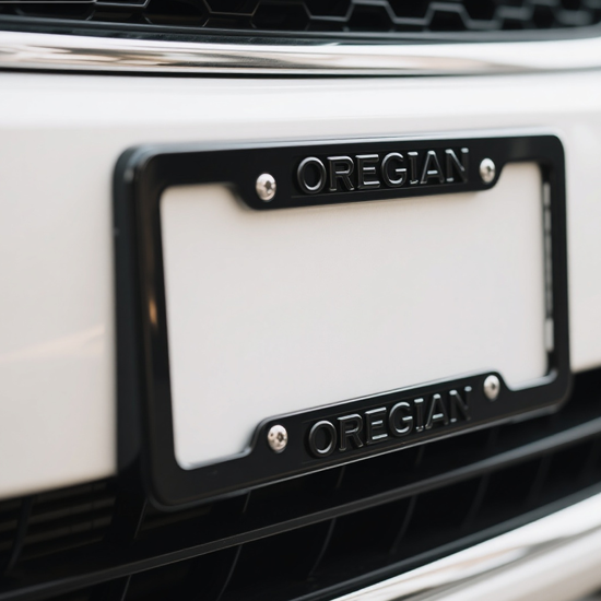 branded metal license plate frame mounted on a clean modified car rear